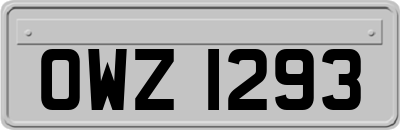 OWZ1293