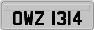 OWZ1314