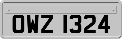 OWZ1324