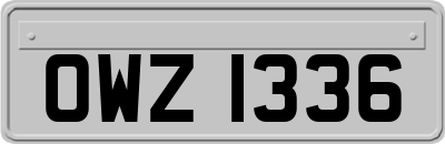 OWZ1336