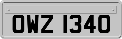 OWZ1340