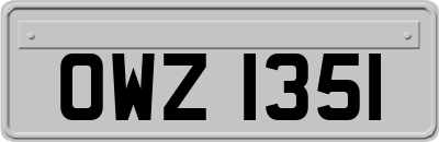 OWZ1351