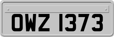 OWZ1373