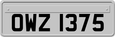 OWZ1375