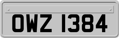 OWZ1384