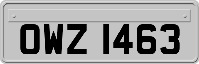 OWZ1463