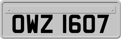 OWZ1607