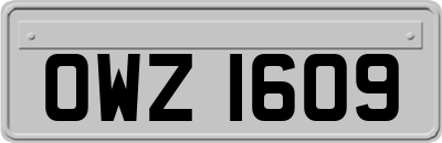 OWZ1609