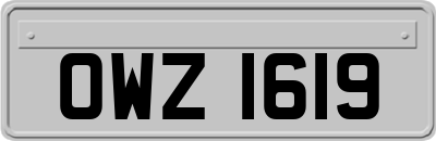 OWZ1619