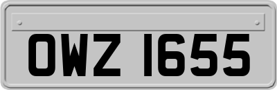 OWZ1655