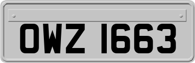 OWZ1663