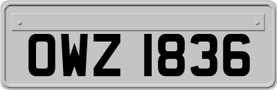 OWZ1836