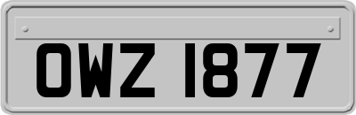 OWZ1877