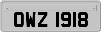 OWZ1918