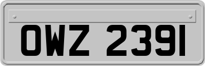 OWZ2391