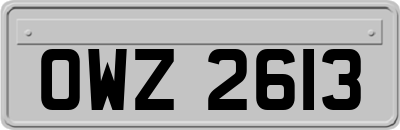 OWZ2613