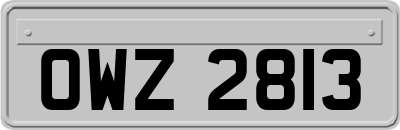 OWZ2813