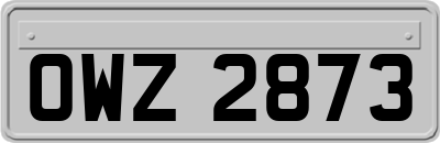OWZ2873