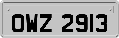 OWZ2913