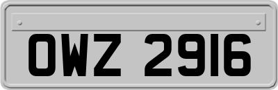 OWZ2916