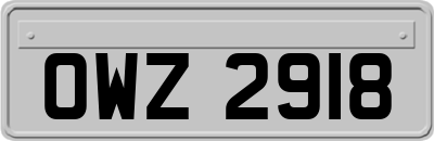 OWZ2918