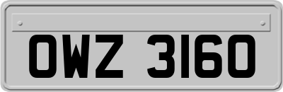 OWZ3160