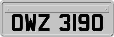 OWZ3190
