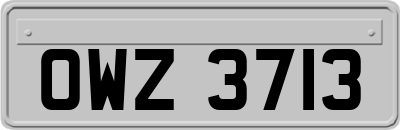 OWZ3713