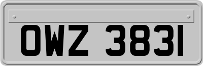 OWZ3831