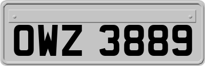 OWZ3889