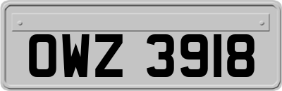 OWZ3918
