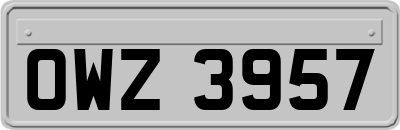 OWZ3957