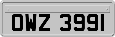 OWZ3991