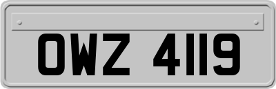 OWZ4119