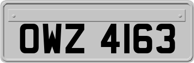 OWZ4163