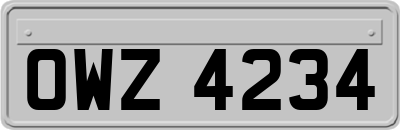 OWZ4234