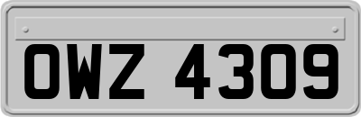 OWZ4309
