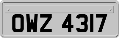 OWZ4317