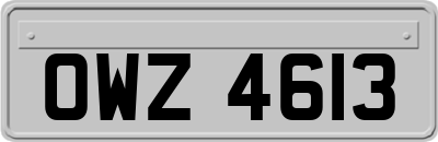 OWZ4613