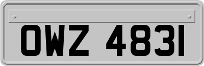 OWZ4831