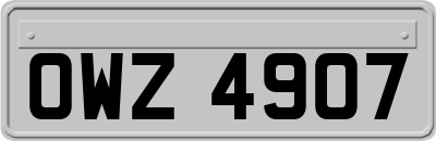 OWZ4907