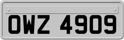 OWZ4909