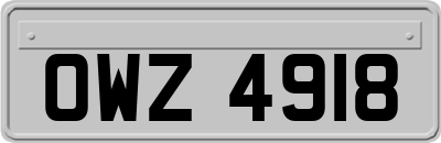 OWZ4918