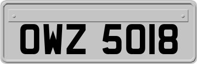 OWZ5018