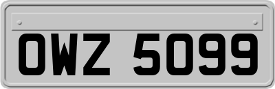 OWZ5099