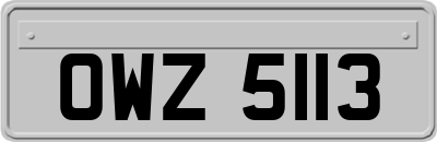 OWZ5113