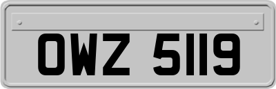 OWZ5119