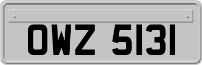 OWZ5131