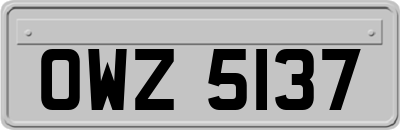 OWZ5137