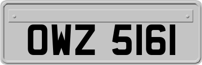 OWZ5161